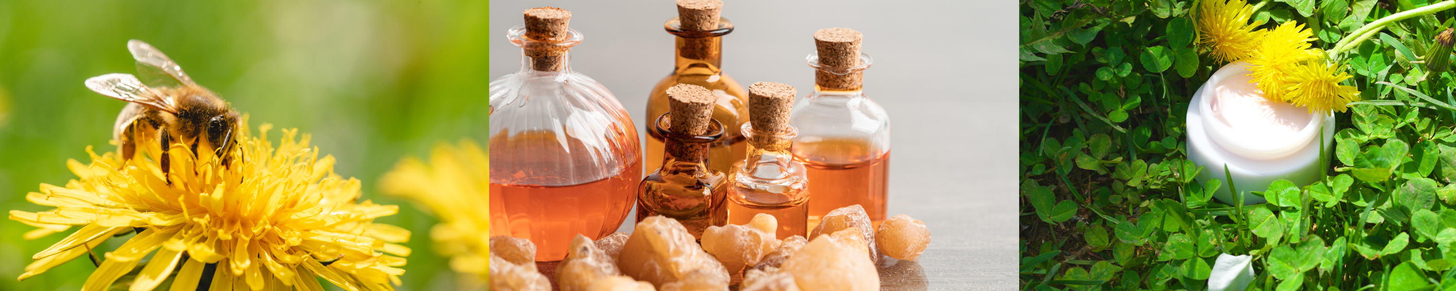 Miodowy mniszek - balsam do ciała